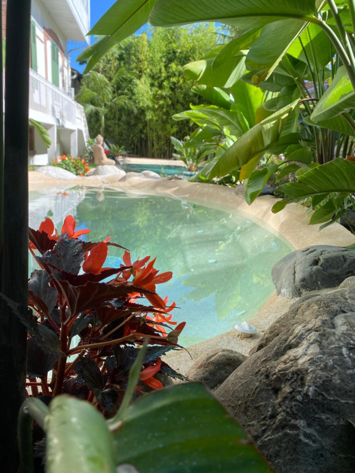 Appt Ambiance Chalet 2Ch Piscine Lagon Lejlighed Tarbes Eksteriør billede